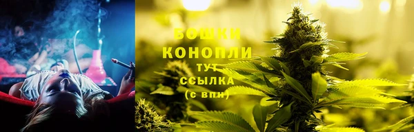 дживик Костерёво