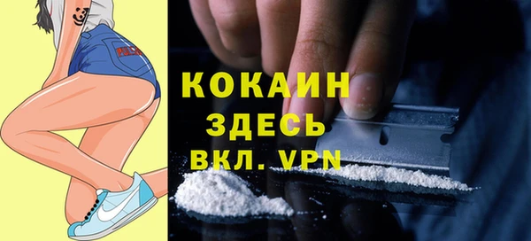 СК Коряжма