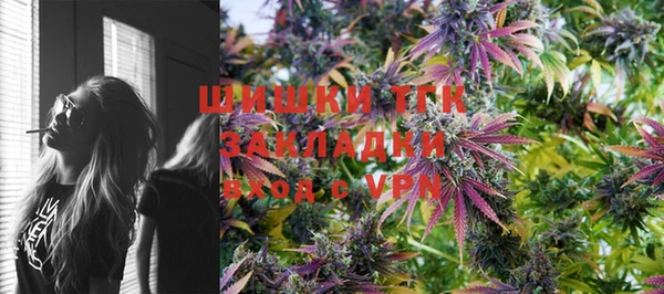 дживик Костерёво