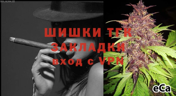 СК Коряжма