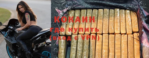 дживик Костерёво