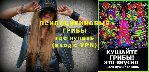 дживик Костерёво