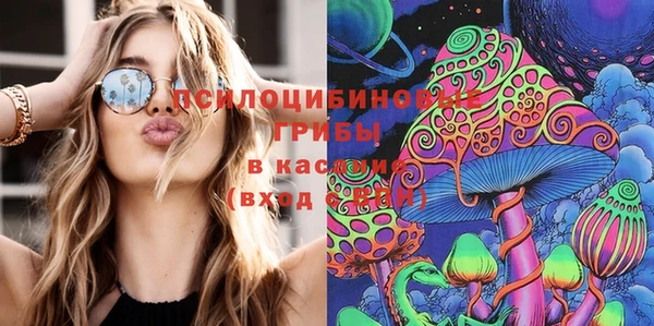 дживик Костерёво