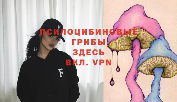 СК Коряжма