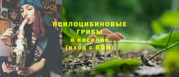 СК Коряжма