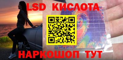 гидропоника Кимры