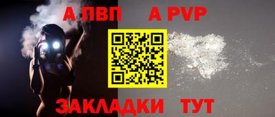 твердый Кингисепп