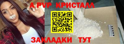 твердый Кингисепп