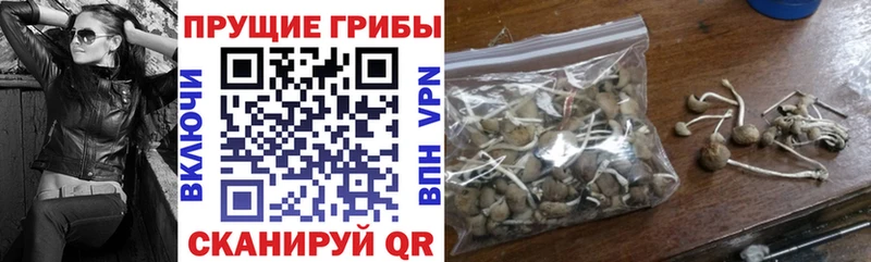 маркетплейс официальный сайт  Менделеевск  Галлюциногенные грибы Psilocybe  наркошоп 