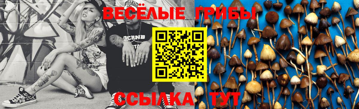 Галлюциногенные грибы Magic Shrooms  Галлюциногенные грибы Psilocybine cubensis  Менделеевск  купить наркоту  Вход с VPN 