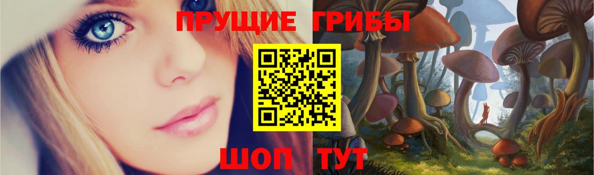 Псилоцибиновые грибы MAGIC MUSHROOMS Менделеевск