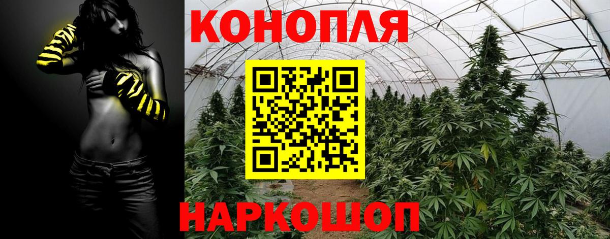Конопля конопля  Конопля OG Kush  Конопля White Widow  Менделеевск  Марихуана Ganja 